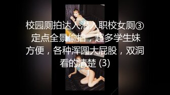 校园厕拍达人潜入职校女厕③ 定点全景偸拍，超多学生妹方便，各种浑圆大屁股，双洞看的清楚 (3)