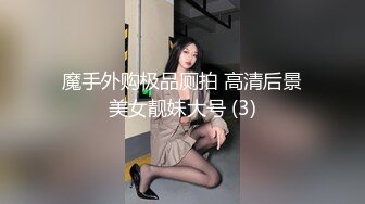 魔手外购极品厕拍 高清后景美女靓妹大号 (3)