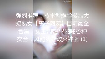 强烈推荐，技术型露脸极品大奶熟女【惠子阿姨】目前最全合集，女王调教3P啪啪各种交合，风韵犹存败火神器 (1)