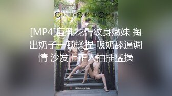 [MP4]巨乳花臂纹身嫩妹 掏出奶子一顿揉捏 吸奶舔逼调情 沙发上正入抽插猛操