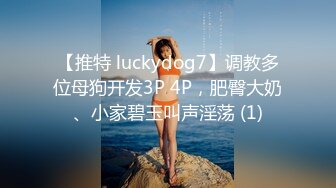 【推特 luckydog7】调教多位母狗开发3P 4P，肥臀大奶、小家碧玉叫声淫荡 (1)