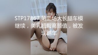 STP17867 第二场大长腿车模继续，美乳翘臀高颜值，被发现翻车