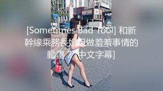 [Sometimes Bad Tool] 和新幹線乘務長姐姐做羞羞事情的動畫 2 [中文字幕]