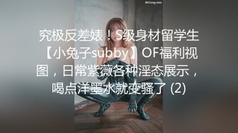 究极反差婊！S级身材留学生【小兔子subby】OF福利视图，日常紫薇各种淫态展示，喝点洋墨水就变骚了 (2)