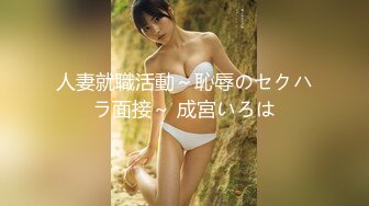 人妻就職活動～恥辱のセクハラ面接～ 成宮いろは