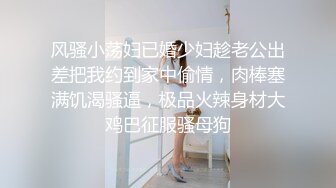 风骚小荡妇已婚少妇趁老公出差把我约到家中偷情，肉棒塞满饥渴骚逼，极品火辣身材大鸡巴征服骚母狗