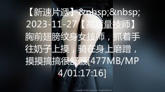 【新速片遞】&nbsp;&nbsp;2023-11-27【高质量技师】胸前翅膀纹身女技师，抓着手往奶子上摸，骑在身上磨蹭，摸摸搞搞很舒服[477MB/MP4/01:17:16]