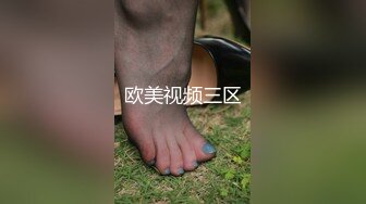 欧美视频三区