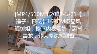 [MP4/510MB]2022-5-21【锤子丶探花】168CM极品风骚御姐，撩下内衣吸奶，舔背毒龙，转大屌深插翘臀