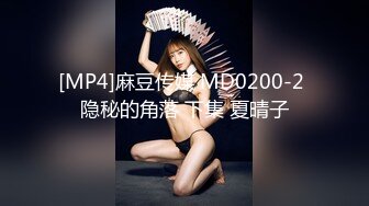 [MP4]麻豆传媒 MD0200-2 隐秘的角落 下集 夏晴子