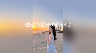 琥珀色的HUNTER 2