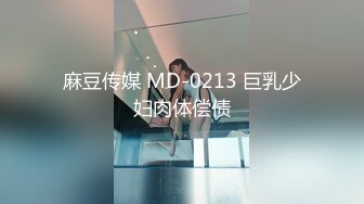 麻豆传媒 MD-0213 巨乳少妇肉体偿债