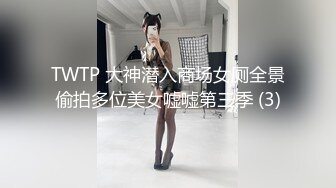 TWTP 大神潜入商场女厕全景偷拍多位美女嘘嘘第三季 (3)