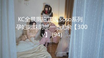 KC全景厕拍正版 soso系列  孕妇嫩妹阴部一览无余【300v】 (94)