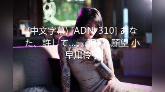 (中文字幕) [ADN-310] あなた、許して…。 犯●れ願望 小早川怜子